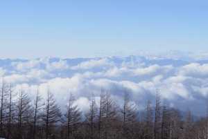 From Tokoyo - Mount FUJI Classic Highlight Joiner Day Tour