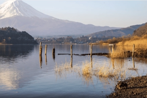 From Tokoyo - Mount FUJI Classic Highlight Joiner Day Tour