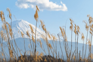 From Tokoyo - Mount FUJI Classic Highlight Joiner Day Tour
