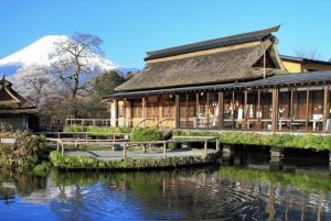 From Tokoyo - Mount FUJI Classic Highlight Joiner Day Tour