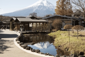 From Tokoyo - Mount FUJI Classic Highlight Joiner Day Tour