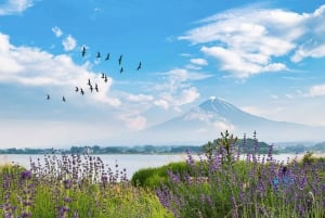 Från Tokyo: Privat dagstur med bil till Fuji-berget