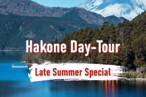 Z Tokio: 10-godzinna prywatna wycieczka po Hakone