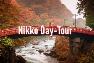 Von Tokio aus: 10-stündige, private Tour nach Nikko