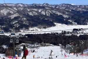 From Tokyo 2-day ski & snowboard tour with rentals