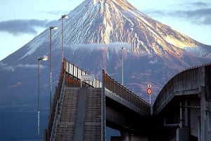 From Tokyo: 5 Best Mount Fuji Photo Spots Private Day Trip