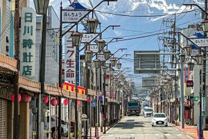 From Tokyo: 5 Best Mount Fuji Photo Spots Private Day Trip