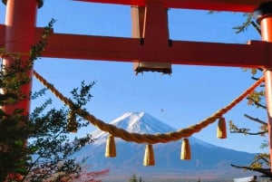 From Tokyo: 5 Best Mount Fuji Photo Spots Private Day Trip