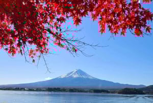 From Tokyo: 5 Best Mount Fuji Photo Spots Private Day Trip