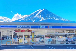 Tour del Monte Fuji: 6 luoghi imperdibili, Lago Kawaguchi, Oshino Hakkai