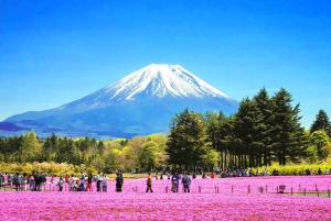 Tour del Monte Fuji: 6 luoghi imperdibili, Lago Kawaguchi, Oshino Hakkai