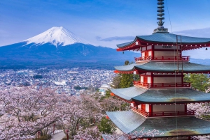 Tour del Monte Fuji: 6 luoghi imperdibili, Lago Kawaguchi, Oshino Hakkai