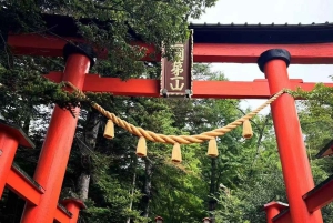 Tour del Monte Fuji: 6 luoghi imperdibili, Lago Kawaguchi, Oshino Hakkai