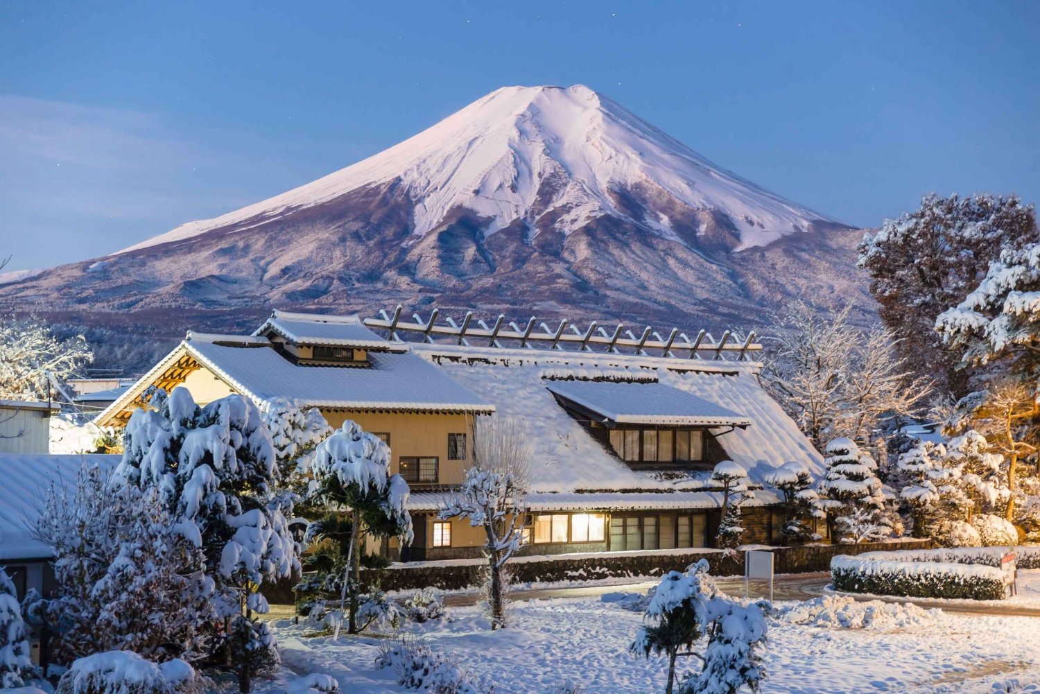 From Tokyo: Chureito Pagoda、Mount Fuji Sightseeing Day Tour