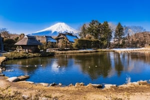 From Tokyo: Chureito Pagoda、Mount Fuji Sightseeing Day Tour