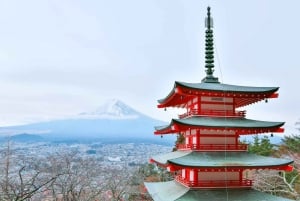 From Tokyo: Chureito Pagoda、Mount Fuji Sightseeing Day Tour