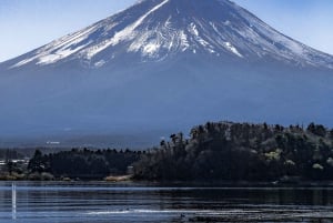 From Tokyo: Chureito Pagoda、Mount Fuji Sightseeing Day Tour