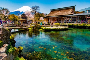 From Tokyo: Fuji Mountain Area - FujiQ - Lake Kawaguchiko - Chureito Pagoda