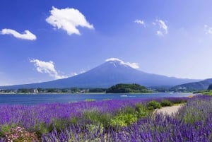 From Tokyo: Fuji Mountain Area - FujiQ - Lake Kawaguchiko - Chureito Pagoda