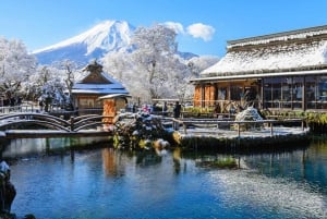 From Tokyo: Fuji Mountain Area - FujiQ - Lake Kawaguchiko - Chureito Pagoda