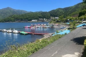 From Tokyo: Fuji Mountain Area - FujiQ - Lake Kawaguchiko - Chureito Pagoda