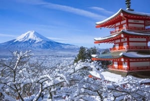 From Tokyo: Fuji Mountain Area - FujiQ - Lake Kawaguchiko - Chureito Pagoda