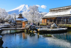 Depuis Tokyo : Région du mont Fuji - FujiQ - Lac Kawaguchiko - Pagode Chureito