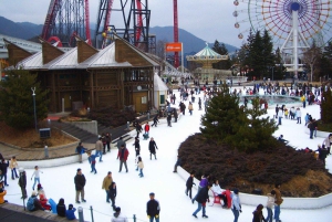 Depuis Tokyo : Région du mont Fuji - FujiQ - Lac Kawaguchiko - Pagode Chureito