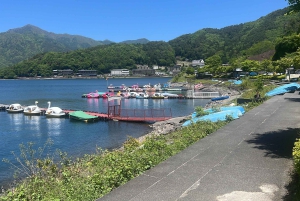 Depuis Tokyo : Région du mont Fuji - FujiQ - Lac Kawaguchiko - Pagode Chureito
