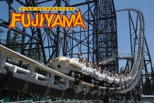 From Tokyo: Fuji-Q Highland Amusement Park:Private Day tour