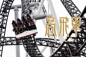 From Tokyo: Fuji-Q Highland Amusement Park:Private Day tour