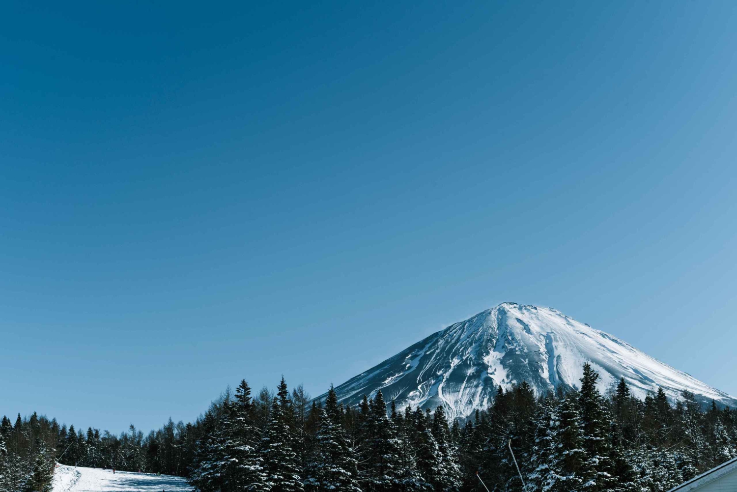 Desde Tokio: Excursión de un Día de Esquí de Invierno en la Estación Nieve Fujiyama Yeti