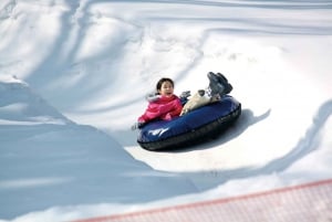 From Tokyo: Fujiyama Snow Resort Yeti Winter Ski Day Tour