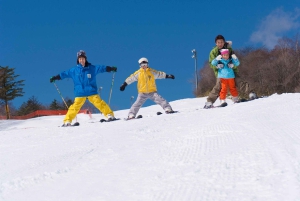 Desde Tokio: Excursión de un Día de Esquí de Invierno en la Estación Nieve Fujiyama Yeti