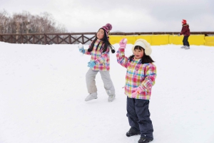 Desde Tokio: Excursión de un Día de Esquí de Invierno en la Estación Nieve Fujiyama Yeti