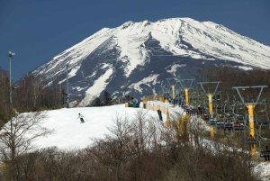 Desde Tokio: Excursión de un Día de Esquí de Invierno en la Estación Nieve Fujiyama Yeti
