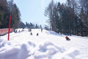 Desde Tokio: Excursión de un Día de Esquí de Invierno en la Estación Nieve Fujiyama Yeti