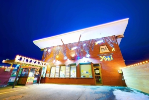 Desde Tokio: Excursión de un Día de Esquí de Invierno en la Estación Nieve Fujiyama Yeti