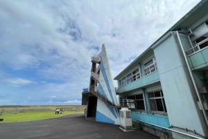 Tokiosta: Fukushiman toivon päiväretki oppaan ja ajoneuvon kanssa