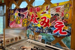 Tokiosta: Fukushiman toivon päiväretki oppaan ja ajoneuvon kanssa