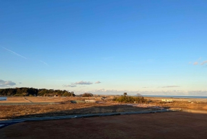 Tokiosta: Fukushiman toivon päiväretki oppaan ja ajoneuvon kanssa