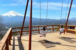 From Tokyo: Guided Day Trip to Kawaguchi Lake and Mt. Fuji