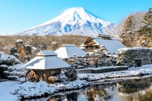 From Tokyo: Guided Day Trip to Kawaguchi Lake and Mt. Fuji