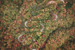 Von Tokio aus: Geführter Tagesausflug zu den Weltkulturerbestätten in Nikko