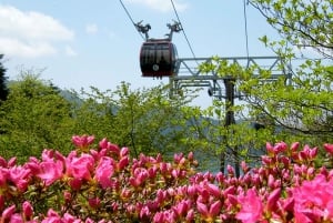 From Tokyo: Hakone Cruise & Mt. Fuji 5th Station Day Trip