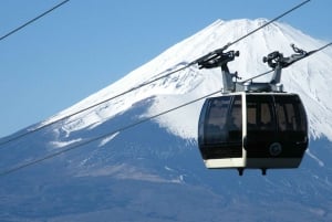 From Tokyo: Hakone Cruise & Mt. Fuji 5th Station Day Trip