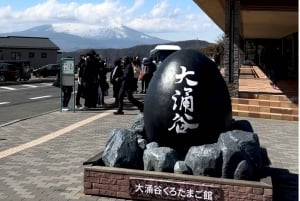 From Tokyo: Hakone Cruise & Mt. Fuji 5th Station Day Trip