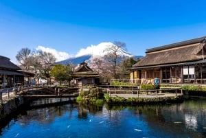 From Tokyo: Hakone Cruise & Mt. Fuji 5th Station Day Trip