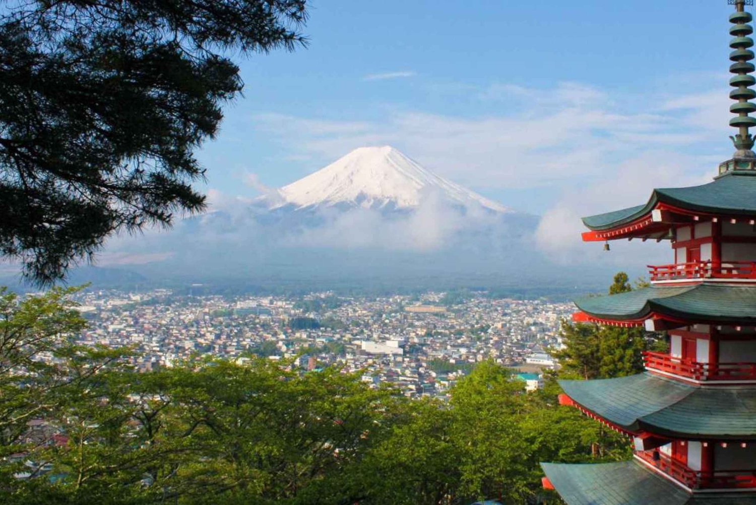 Depuis Tokyo/Hakone/Fuji : Excursion d'une journée à Hakone et au Mont Fuji avec prise en charge