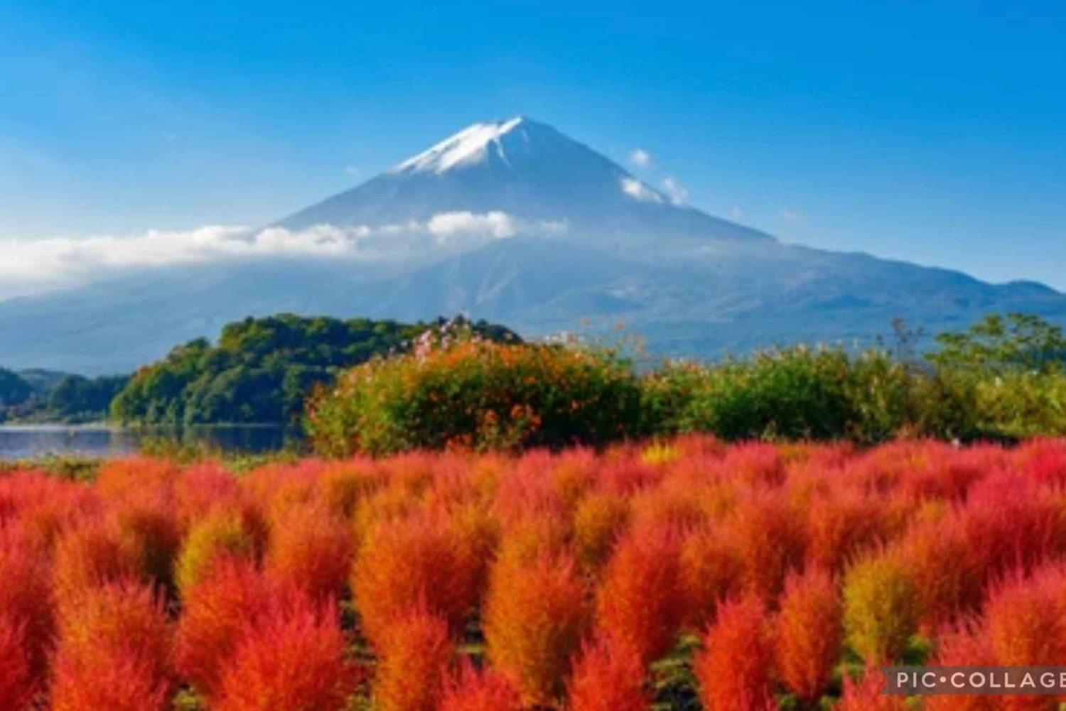 Depuis Tokyo/Hakone/Fuji : Excursion d'une journée à Hakone et au Mont Fuji avec prise en charge